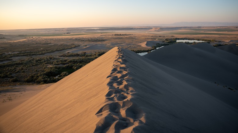 footprints along ridge of a tall sand dune