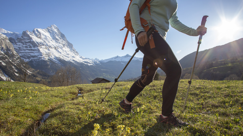 Hiker in a national park