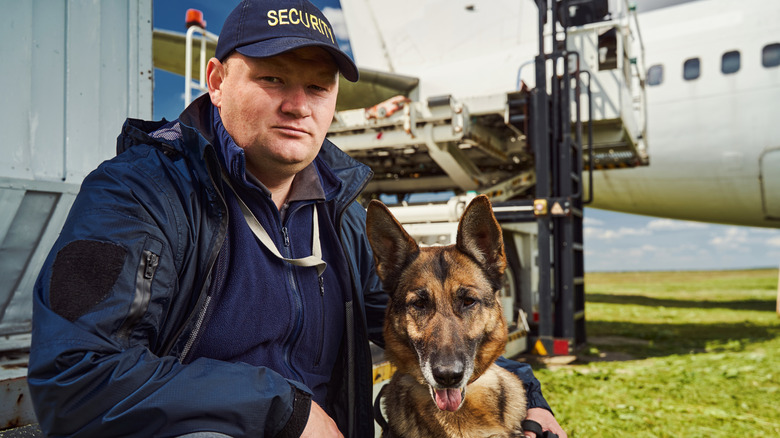 law enforcement with dog near plane