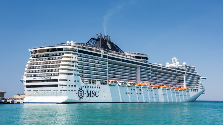 MSC ship docked at a port