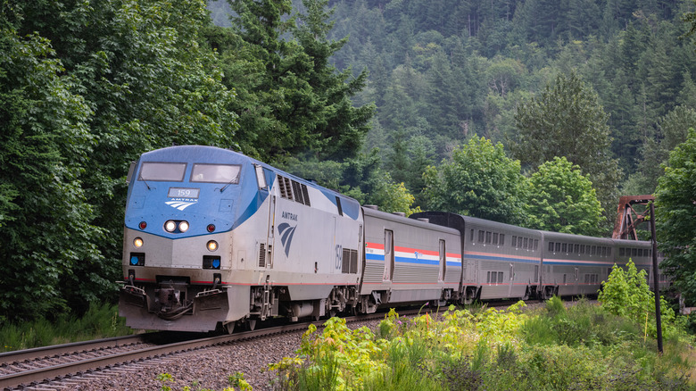 Amtrak train in green trees