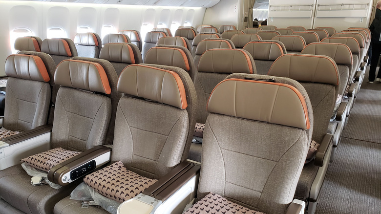 premium economy cabin section