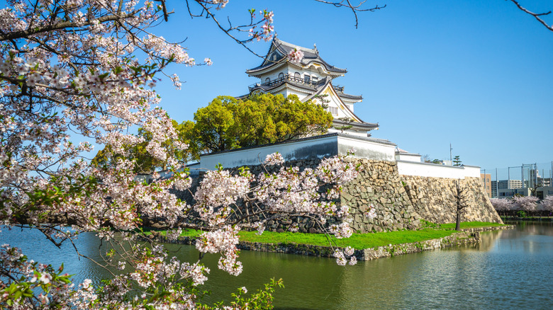 kishiwada castle in Japan seen through cherry blssom