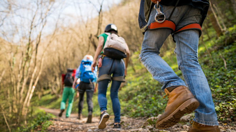 group of people walking on a row for mountain climbing