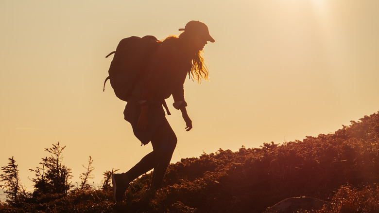 A hiker stumbles up a hill in dusky light