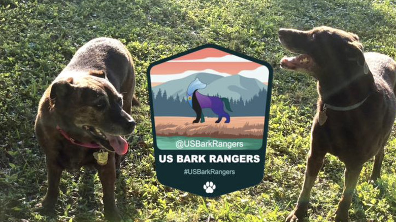 Two dogs in-between the US BARK RANGERS sign