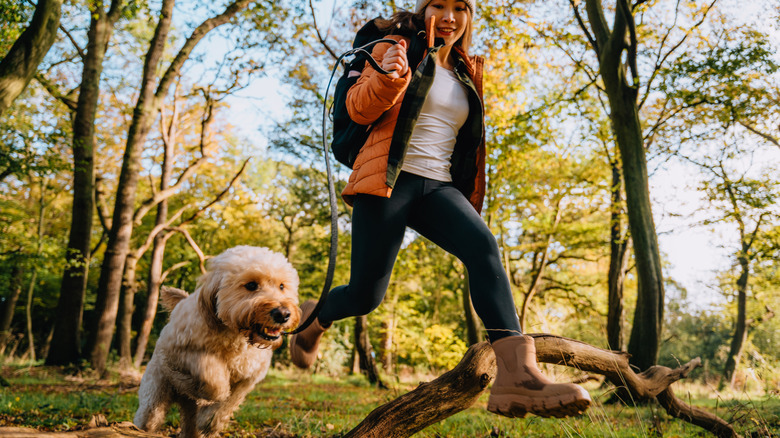 Hiker with their dog in the woods
