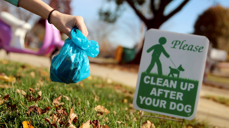 Person cleans up their dog poop in a bag near a sign that says please clean up after your dog