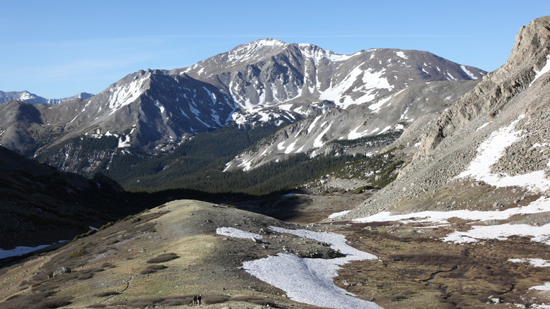 Mount Harvard vista early summer