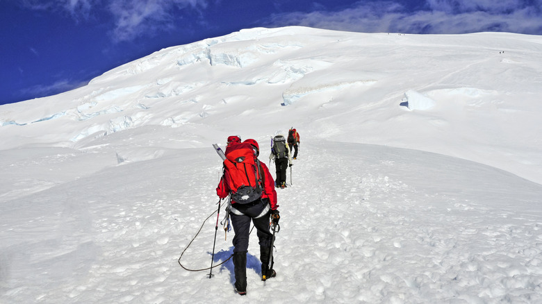 climbers attempting to summit Mount Rainier