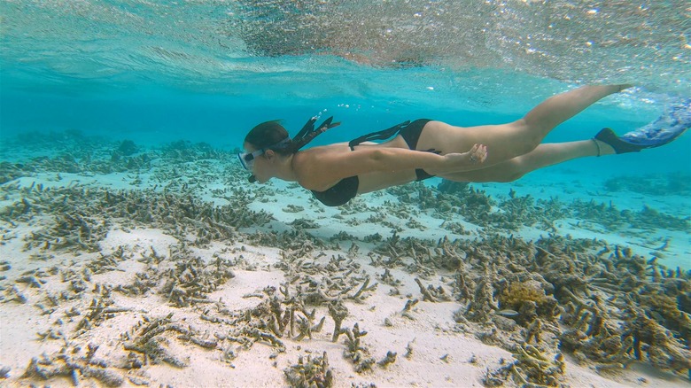 Woman snorkels over a coral graveyard