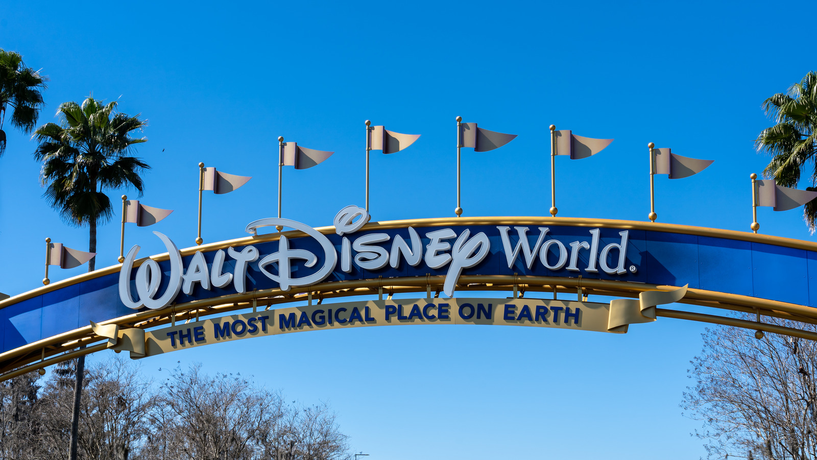 What To Know About Disney World Transportation Before Your Next Trip