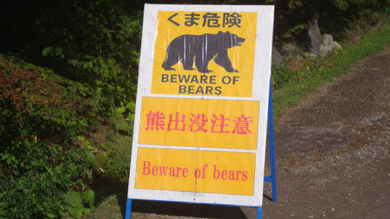 Japanese Beware of Bears sign Shirakawa-go