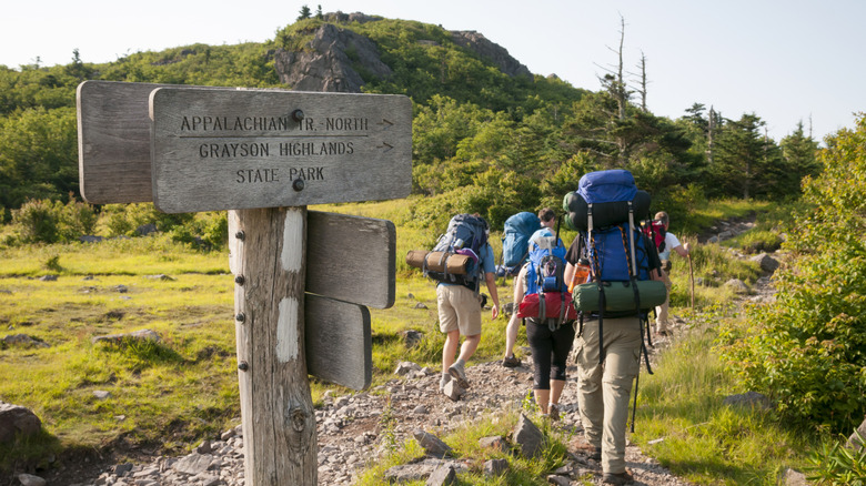 Hikers setting off on the Appalachian Trail through grassy woodland