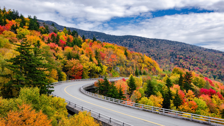 road winding through bright fall foliage