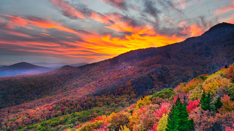 colorful trees on mountains in the fall
