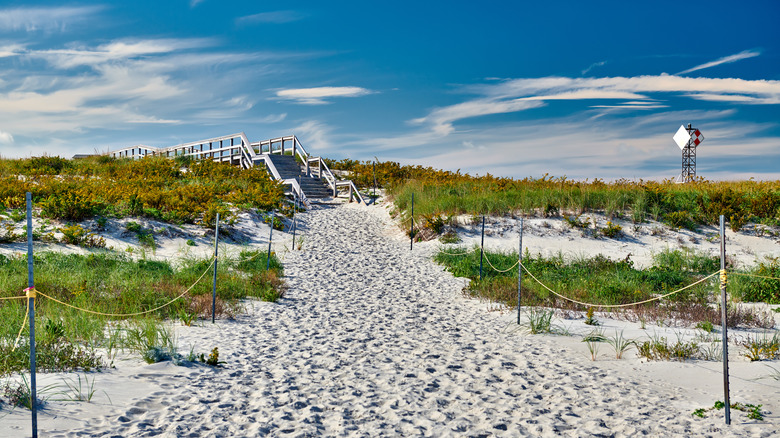 winding hiking path on Crane Beach 