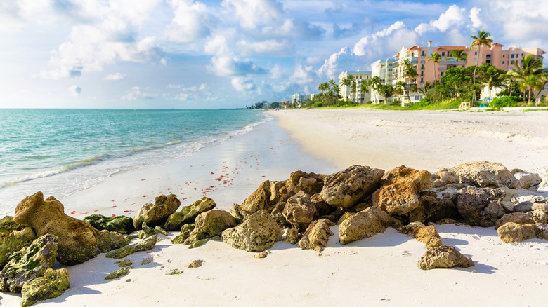 rocks on Florida beach with condo buildings in the distance