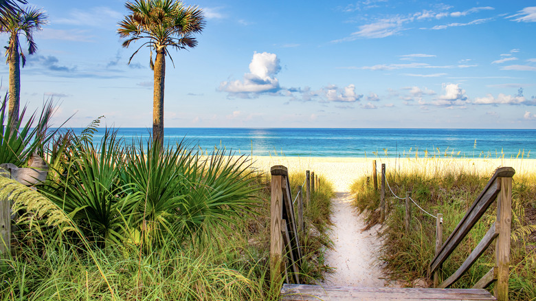 roped pathway entering Florida beach with palm trees