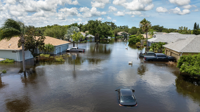 A flooded road after a hurricane in Florida.