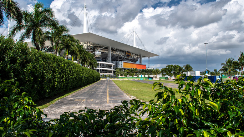 World Cup 2026 host Miami Stadium in the distance with palm trees and bushes.