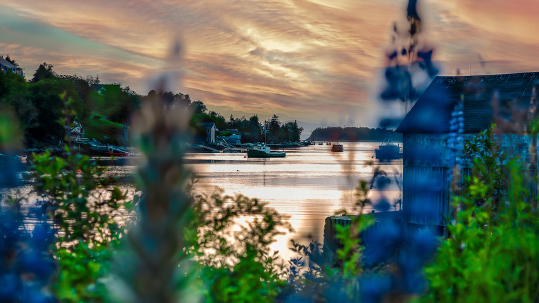Sunset on an inlet with boats and waterfront homes in Halifax, Nova Scotia.