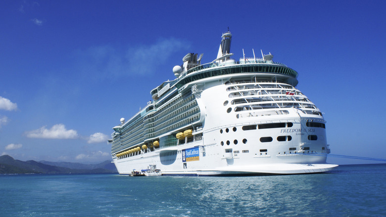 A large cruise ship sailing out to sea