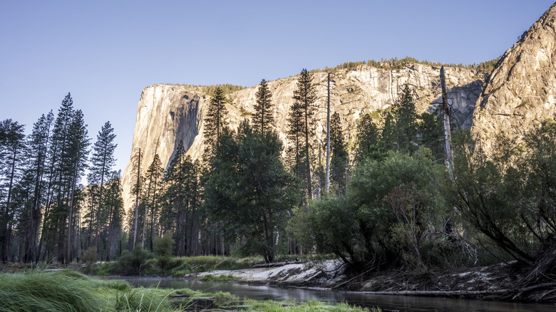 distant view of El Capitan and trees in Yosemite National Park