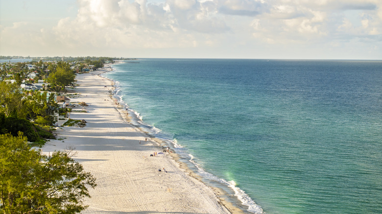 aerial view of beach on Anna Maria Island