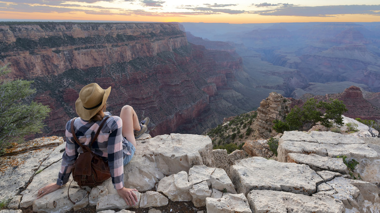 person enjoys view at Grand Canyon