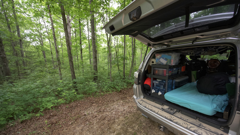 Items inside a camper van trunk parked at a wooded campsite.
