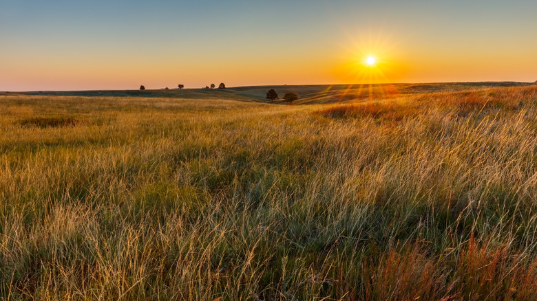 midwest sunset over prairie