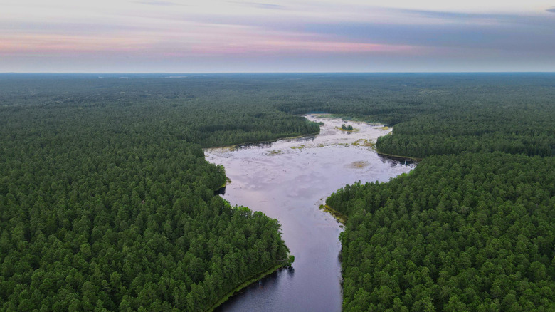 aerial view of Pinelands
