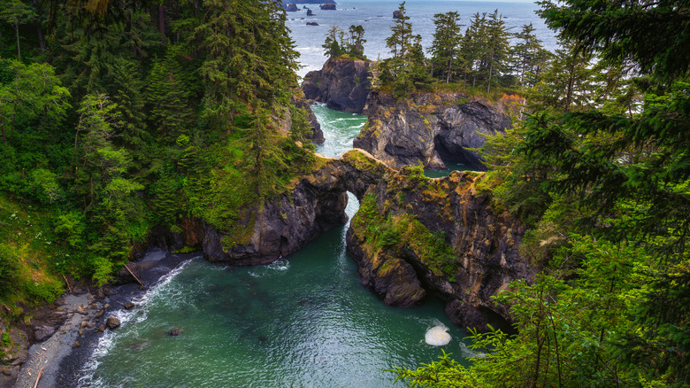 Lush greenery surrounds a natural rock arch over a coastal inlet