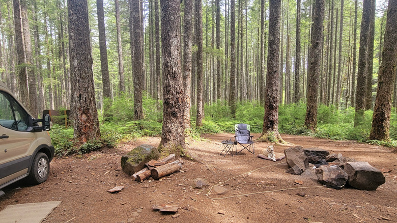 dispersed camping at Mt. Hebo