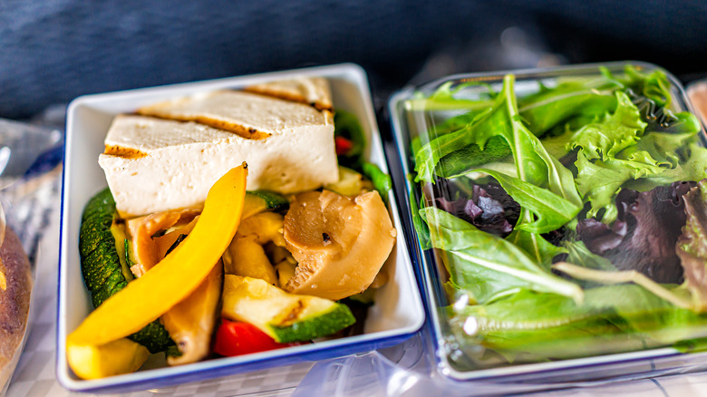 healthy vegan food on plane