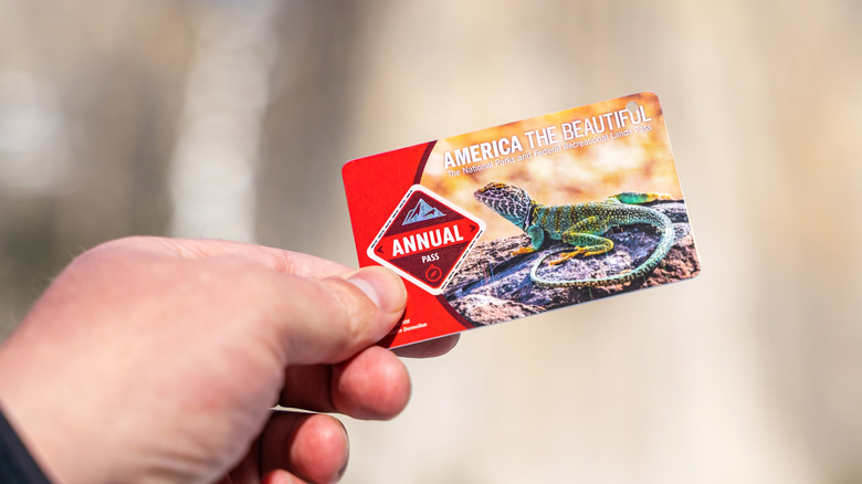 A person holds an America the Beautiful interagency pass in their hand