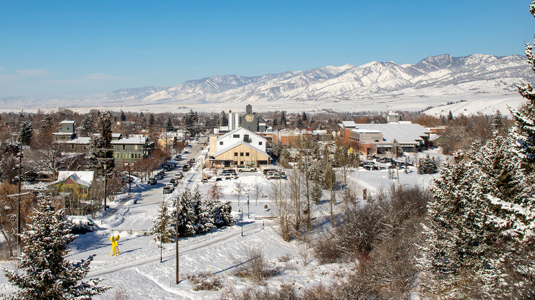 snow-covered town