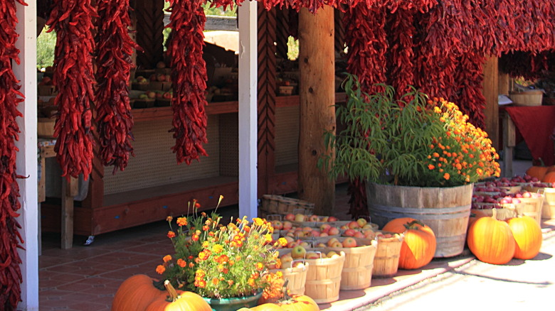 red chile on storefront in Taos