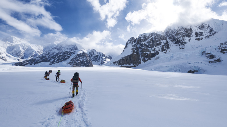 people pulling sleds over snow on mountain