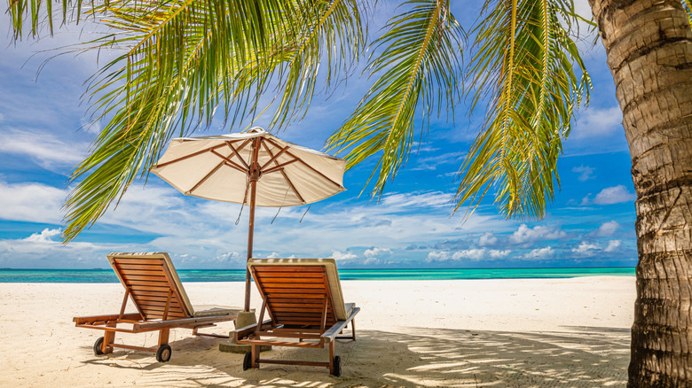 lounge chair and umbrella on beach