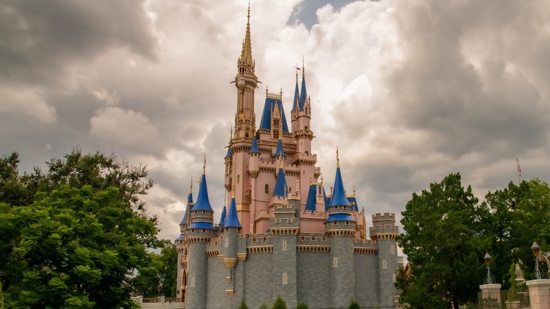 Disney World's Magic Kingdom