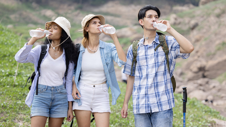 three hikers drinking water