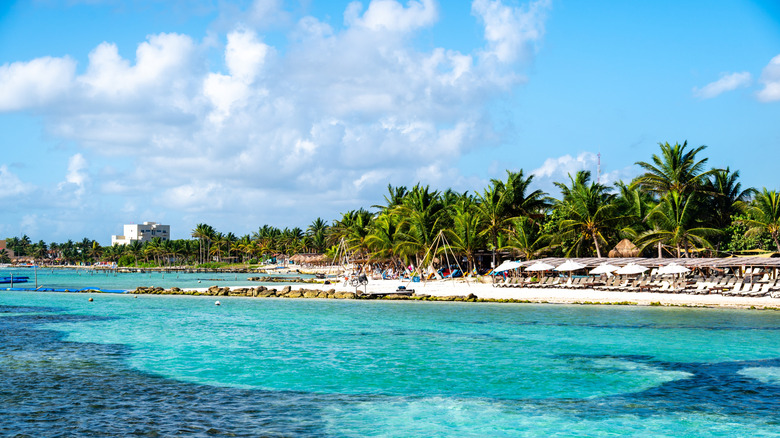 Sandy beach with palm trees, turquoise water, and light blue sky in Mahahual.