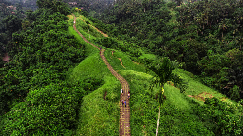 Hikers walking along mountain trail