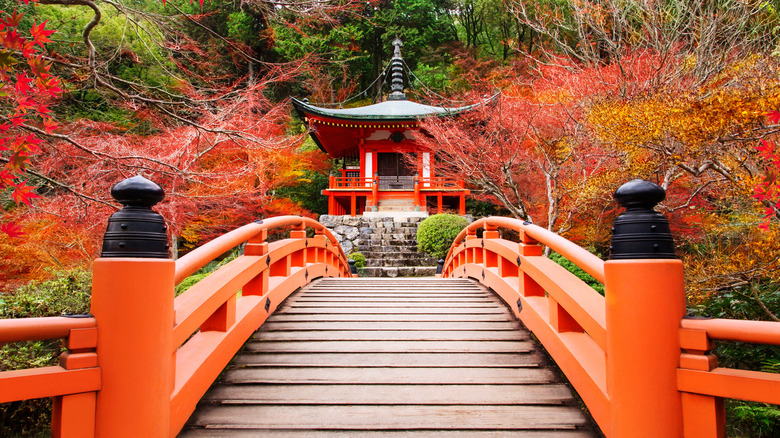bridge in Japan with fall leaves