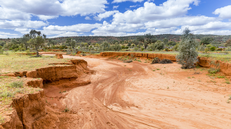 A dry riverbed in Australia.
