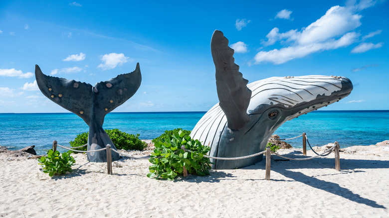 A whale sculpture emerges from the beach in Turks and Caicos