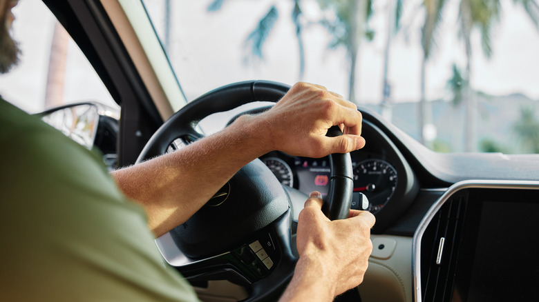 A man drives a car down a palm tree-lined road