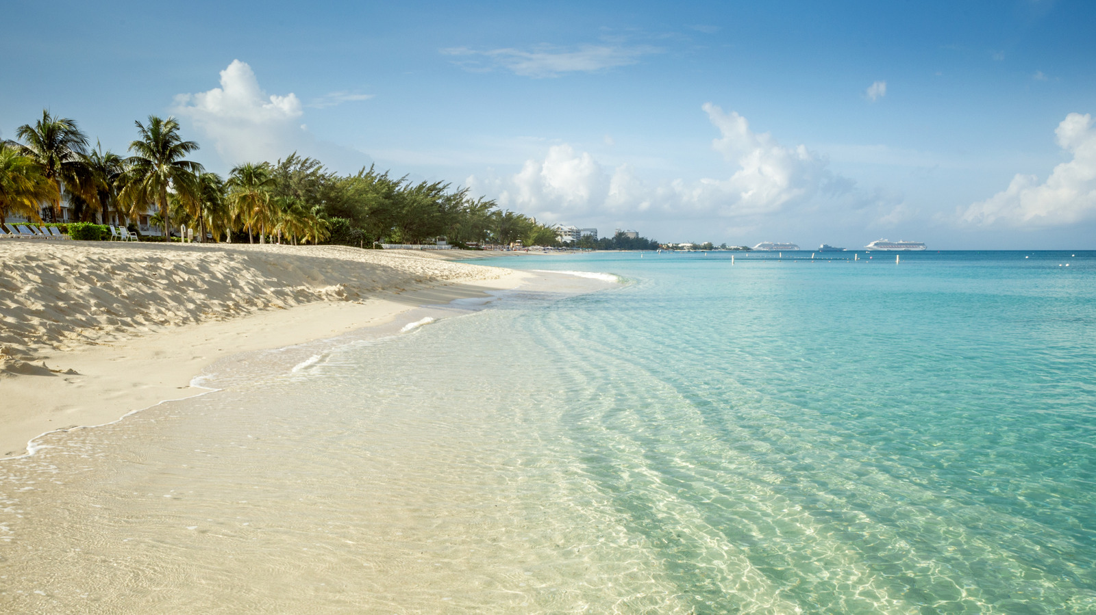 Why Some Tourists May Not Enjoy This Iconic Grand Cayman Activity, According To Reviews
